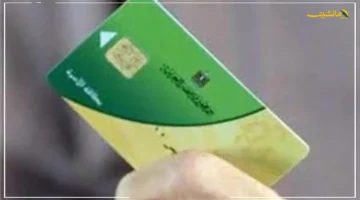 اليوم.. قرار جديد يشمل بطاقات التموين.. بدء تحديث بيانات المواطنين ببورسعيد 1